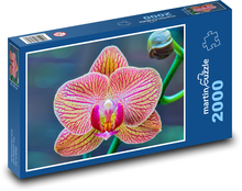 Orchidee - Blume, Blume Puzzle 2000 Teile - 90 x 60 cm