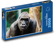 Gorilla Puzzle 2000 Teile - 90 x 60 cm