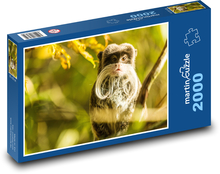 Monkey - primate, animal Puzzle 2000 pieces - 90 x 60 cm