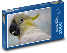 Kakadu - pták, zvíře Puzzle 2000 dílků - 90 x 60 cm
