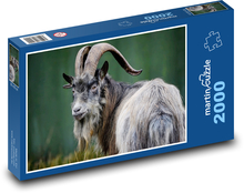 Ziege - Säugetier, Wiederkäuer Puzzle 2000 Teile - 90 x 60 cm