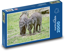 Slůňata - sloni, mláďata Puzzle 2000 dílků - 90 x 60 cm
