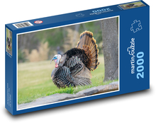 Indyk - zwierzę, ptak Puzzle 2000 elementów - 90x60 cm