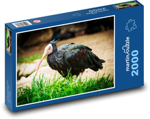 Ibis - Vogel, Tier Puzzle 2000 Teile - 90 x 60 cm