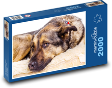 Schäferhund - Hund, Tier Puzzle 2000 Teile - 90 x 60 cm