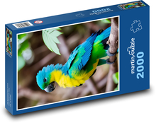 Papoušek - pták, zvíře Puzzle 2000 dílků - 90 x 60 cm