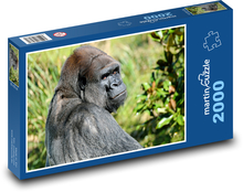 Gorila - opice, zvíře Puzzle 2000 dílků - 90 x 60 cm