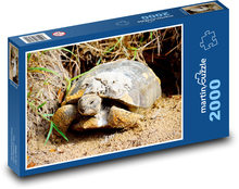 Schildkröte - Reptil, Tier Puzzle 2000 Teile - 90 x 60 cm