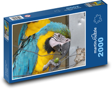 Papagei - Ara, Vogel Puzzle 2000 Teile - 90 x 60 cm