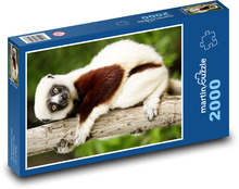 Lemur - zviera, Madagaskar Puzzle 2000 dielikov - 90 x 60 cm