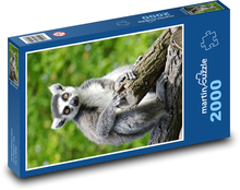 Lemur - opice, savec Puzzle 2000 dílků - 90 x 60 cm