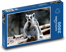 Lemur - ssak, zwierzę Puzzle 2000 elementów - 90x60 cm