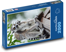 Lemurs - animals, mammals Puzzle 2000 pieces - 90 x 60 cm