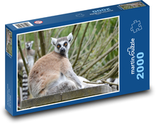 Lemur madagaskarski - zwierzęcy, ssak Puzzle 2000 elementów - 90x60 cm