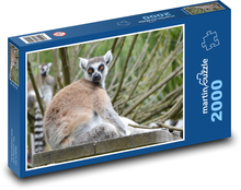 Madagassischer Lemur - Tier, Säugetier Puzzle 2000 Teile - 90 x 60 cm