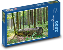 Kmeň stromu - les, príroda Puzzle 2000 dielikov - 90 x 60 cm