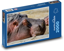 Nilpferd - Tier, Zoo Puzzle 2000 Teile - 90 x 60 cm