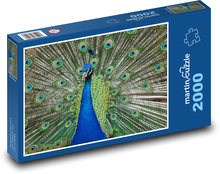 Páv - zvíře, paví pera  Puzzle 2000 dílků - 90 x 60 cm