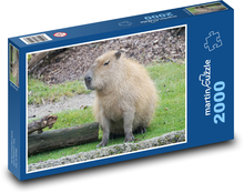 Capybara - animal, zoo Puzzle 2000 pieces - 90 x 60 cm