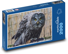 Owl - bird, animal Puzzle 2000 pieces - 90 x 60 cm