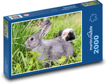 Králik - zviera, hlodavec Puzzle 2000 dielikov - 90 x 60 cm