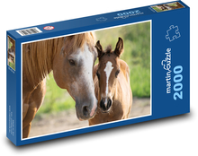 Pferd - Fohlen, Stute Puzzle 2000 Teile - 90 x 60 cm