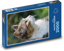 Mačka - cicavec, zviera Puzzle 2000 dielikov - 90 x 60 cm