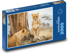 Lioness - animal, mammal Puzzle 2000 pieces - 90 x 60 cm