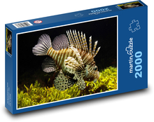 Mořská ryba - pod vodou, moře Puzzle 2000 dílků - 90 x 60 cm