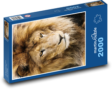 Löwe - König der Tiere, Tier Puzzle 2000 Teile - 90 x 60 cm