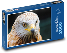 Bussard - Tier, Vogel Puzzle 2000 Teile - 90 x 60 cm