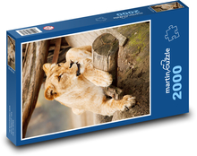 Löwin - Tier, Löwe Puzzle 2000 Teile - 90 x 60 cm