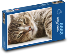 Katze - Haustier, Tier Puzzle 2000 Teile - 90 x 60 cm