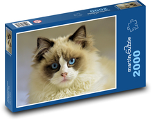 Mačka - domáce zviera, modré oči Puzzle 2000 dielikov - 90 x 60 cm