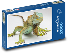 Leguán - plaz, zvíře Puzzle 2000 dílků - 90 x 60 cm