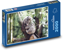 Koala - savec, zvíře Puzzle 2000 dílků - 90 x 60 cm