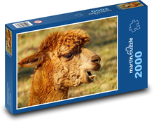 Alpaka - Kopf, Tier Puzzle 2000 Teile - 90 x 60 cm