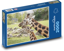 Žirafa - divoká zvěř, savec Puzzle 2000 dílků - 90 x 60 cm