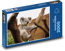 Koala - vačkovec, zviera Puzzle 2000 dielikov - 90 x 60 cm
