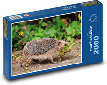 Hedgehog - animal, forest Puzzle 2000 pieces - 90 x 60 cm