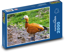Hrdzavé husi - kačica, vták Puzzle 2000 dielikov - 90 x 60 cm