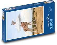 Giraffe - animal, cloud Puzzle 2000 pieces - 90 x 60 cm