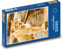 Löwin - Biest, Raubtier Puzzle 2000 Teile - 90 x 60 cm