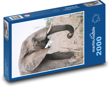 Slon - zvíře, savec Puzzle 2000 dílků - 90 x 60 cm