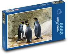 Penguins - animals, birds Puzzle 2000 pieces - 90 x 60 cm