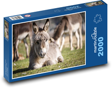 Donkey - animal, farm Puzzle 2000 pieces - 90 x 60 cm