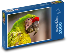 Papagáj - vták, zviera Puzzle 2000 dielikov - 90 x 60 cm