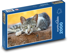 Kočka - kotě, mazlíček Puzzle 2000 dílků - 90 x 60 cm