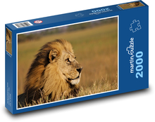 Löwe - König des Dschungels, Säugetier Puzzle 2000 Teile - 90 x 60 cm