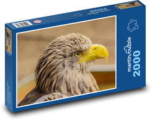 Orol - dravý vták, orlia hlava Puzzle 2000 dielikov - 90 x 60 cm